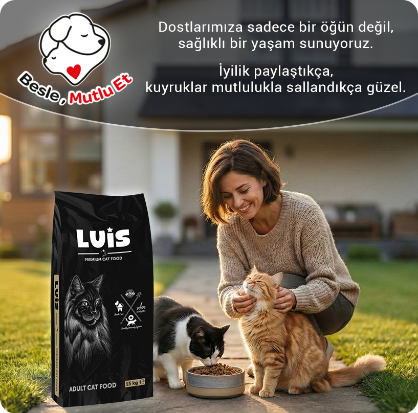 luis-kedi-1-aplus-mobilyeni-1768567566.jpg